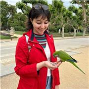 Diplomata e con i 24 CFU offre aiuto compiti per bambini delle elementari e medie